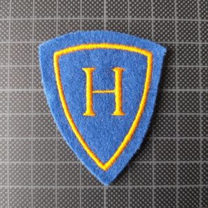 Funktionsabzeichen Hospitalisationsoffizier Ord. 1972, Variante 3