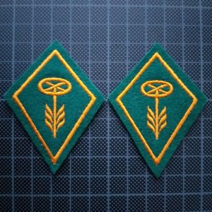 Kragenspiegel Motorfahrer / Motorradfahrer Set Ord. 1972, Variante 2