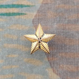 Stern Ord. 1940 für Kragenpatte, Gold, Variante 1