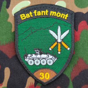 Verbandsabzeichen Geb Inf Bat 30 Kp 2