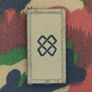 Truppengattungsabzeichen Logistiktruppen, Variante 3