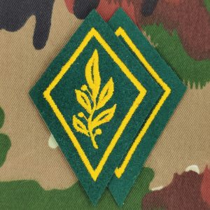 Kragenspiegel Heereseinheitskommandant Ord. 1949, Set, Reproduktion