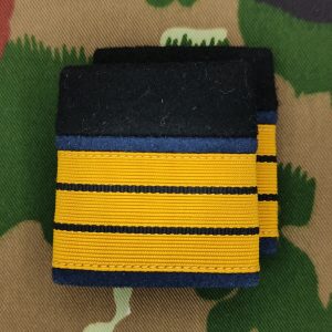 Schulterpatten Ord. 1949 (19) Oberst aus Flieger- und Flab Truppen Set