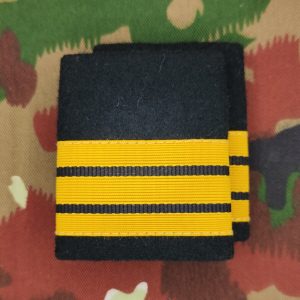 Schulterpatten Ord. 1995 (19) Oberst Set